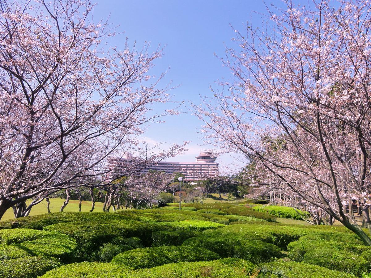 Ibusuki Iwasaki Hotel Exterior foto